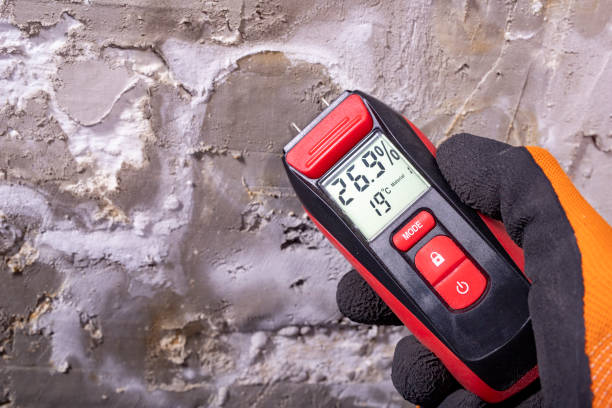 Best Residential Mold Removal  in Horse Cave, KY