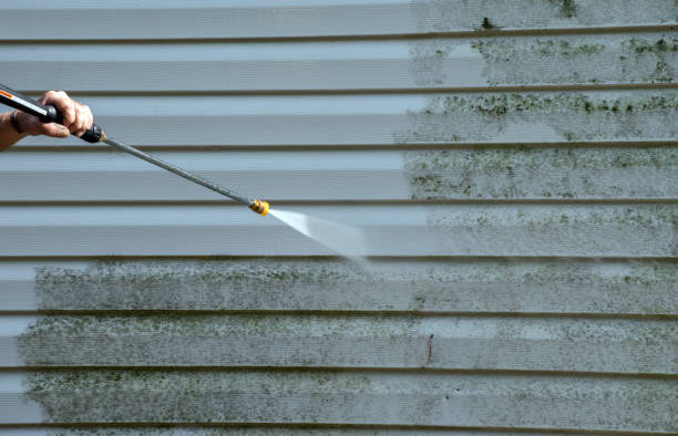 Best Commercial Mold Removal  in Horse Cave, KY