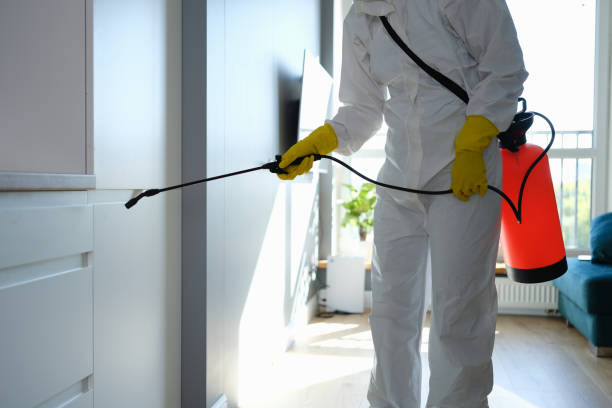 Best Mold Removal Specialists  in Horse Cave, KY