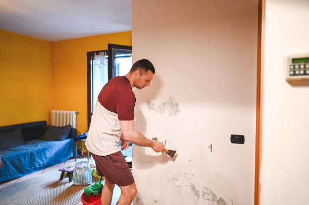 Best Affordable Mold Removal  in Horse Cave, KY